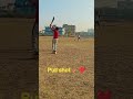 रोहित शर्मा जैसा पुल शॉट 🏏❤️ #cricket #rohitsharma #pullshot #explore #newyoutuber #trending