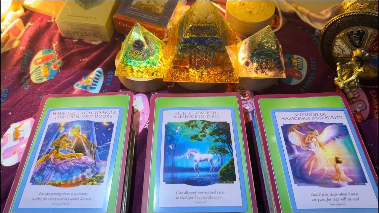 TÌNH CẢM TIẾP THEO