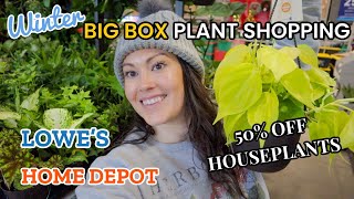 $5 Ficus Audrey & 50% Off Houseplants! BIG BOX Indoor Plant Shopping At Lowe’s & Home Depot