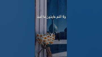 سورة الكافرون🤍/لا إله إلاّ الله محمد رسول اللّٰه 🤍🌼