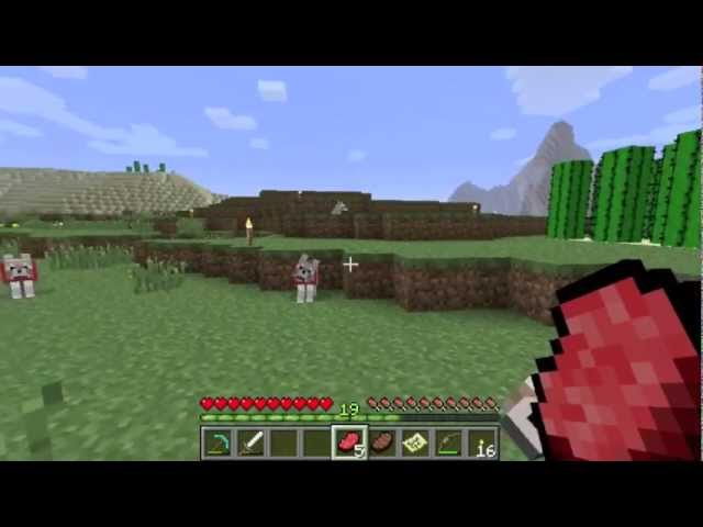 How To Breed Wolves On Minecraft Youtube