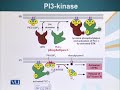 GEN731 Advanced Molecular Genetics Lecture No 72