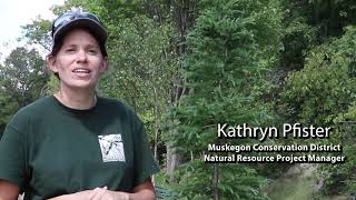 Planting trees along drainage ways in the Muskegon River Watershed Net Worth