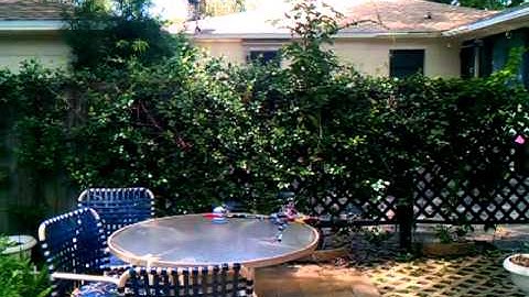 Open pilot copter control board flight