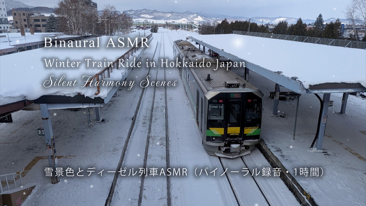 [Binaural ASMR] Winter Train Ride in Hokkaido Japan JR Furano Line Optimized Audio | 雪景色の富良野線・音質調整版