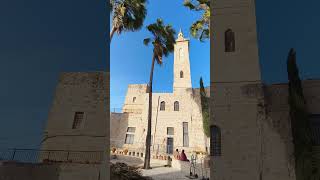 video 20260208 153655