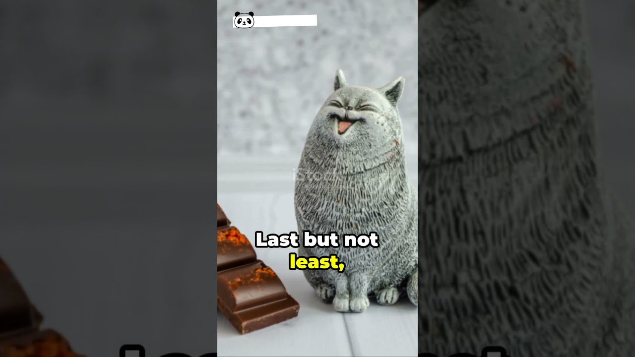 3 Foods Your Cat Should Avoid during Winter