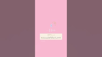 "ذَلِكَ عِيسَى ابْنُ مَرْيَمَ قَوْلَ الْحَقِّ الَّذِي فِيهِ يَمْتَرُونَ" | سورة مريم 🌸🌸.