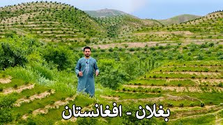 Baghlan Afghanistan | Good News | بغلان او د ابادۍ خبر