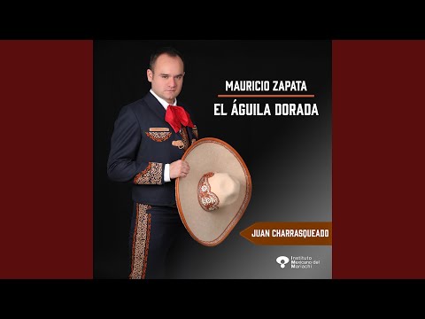 Juan Charrasqueado auf YouTube ansehen