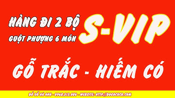 ĐỒ GỖ HÀ ANH - Hàng đi cho Bác Khách siêu VIP 2 bộ bàn ghế guột phượng và guột dơi gỗ trắc cực hiếm