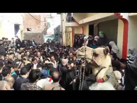 8 Rabiul Awwal - Chuptazia Procession- Sirsi Azadari 1439 Hijri majlis perbandaran kuantan