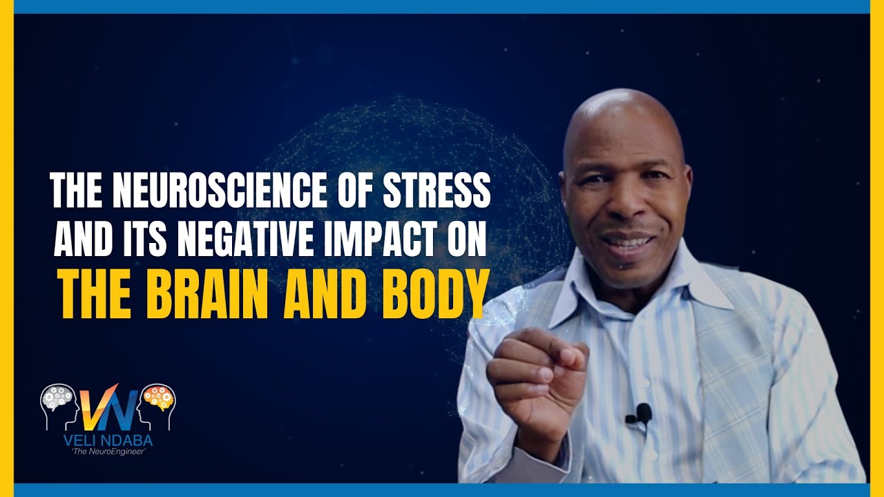 Neuroscience of Stress and Its Negative Impact on The Brain and Body ...