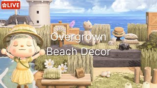 🔴Forest Beach Decorating 101 ~ Animal Crossing New Horizons