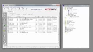 PetrowareD Authorization for expenditures