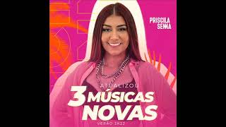 Priscila Senna A Musa   3 Musicas Novas Verao 2022