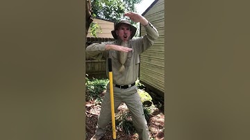 Fossil Friday with Park Ranger Marty - How are Fossils Found?