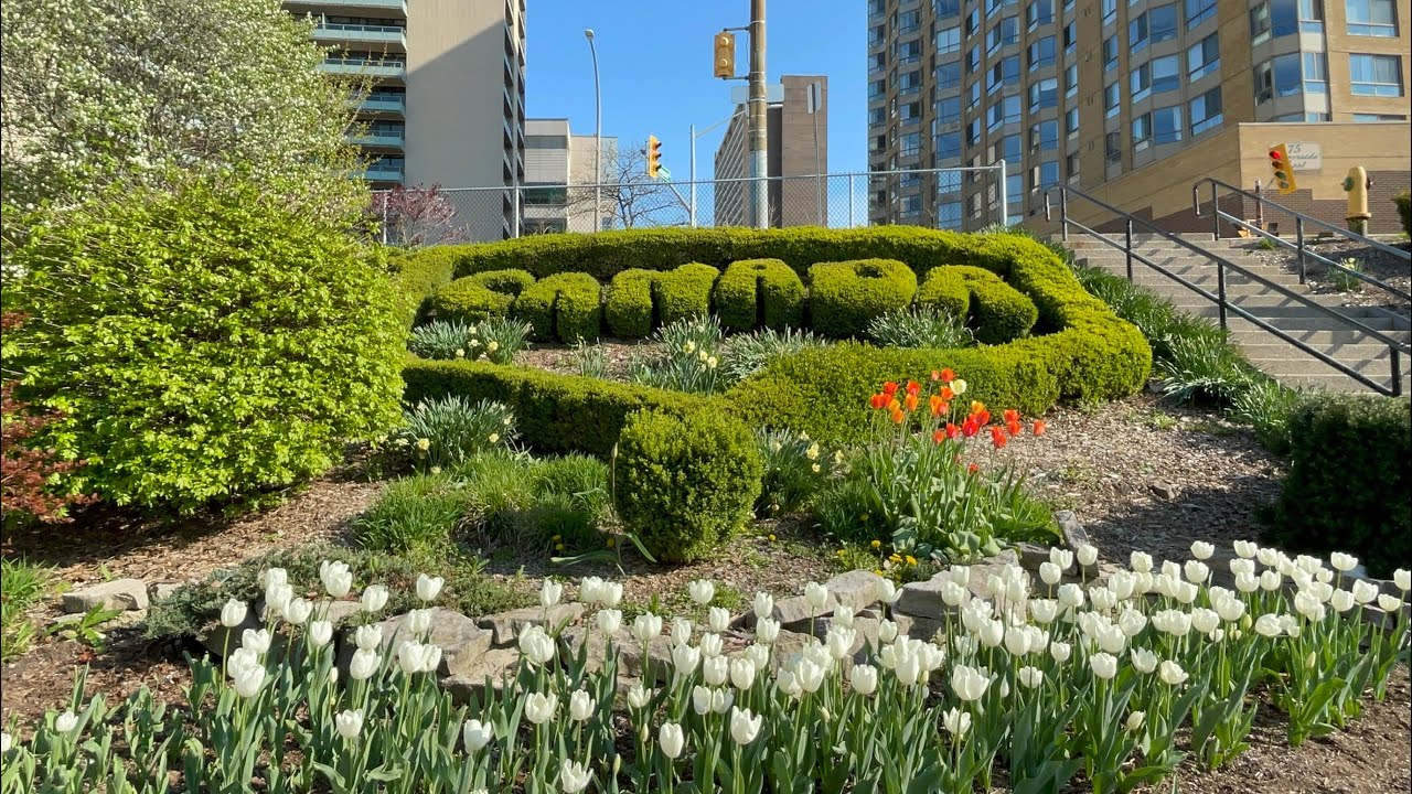 Driving to Windsor through Detroit Windsor Tunnel ~ Day Trip May 2023