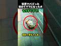 初めての出産を終えた母犬の表情に涙が止まらない！