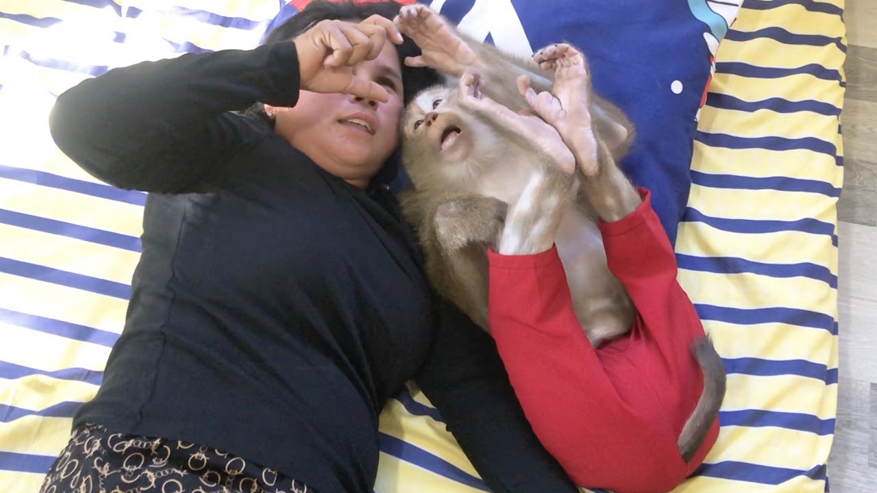 Smart Jason Lovely Attentive To Relax Contented With Mom Persuade