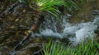 Relaxing Nature Sounds Water Sounds for Relaxation Meditation Sleep