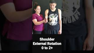 Upper Extremity MMT