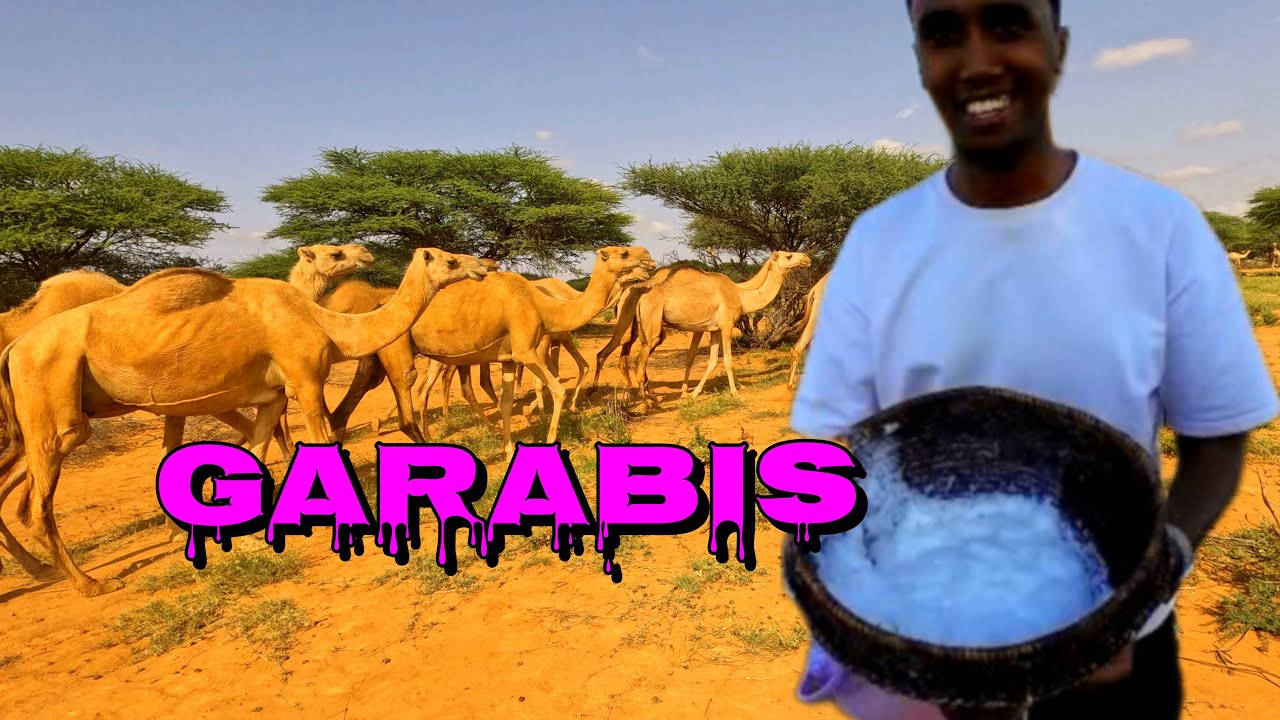 DEEGAANKAN IN BADAN AYAN QORSHAYNAYAY .