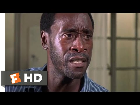 Hotel Rwanda 2004 A Marked Man Scene 12 13 Movieclips
