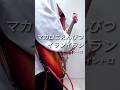 【ギター】マカロニえんぴつ / イランイラン / イントロ【27日目】