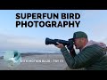 SuperFun Bird Photography in La Jolla - With Intentional Blur and the Nikon Z9