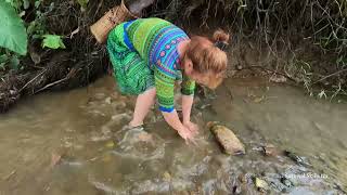Catching wild fish in the wild, catching many big fish in a dried up stream, survival instinct