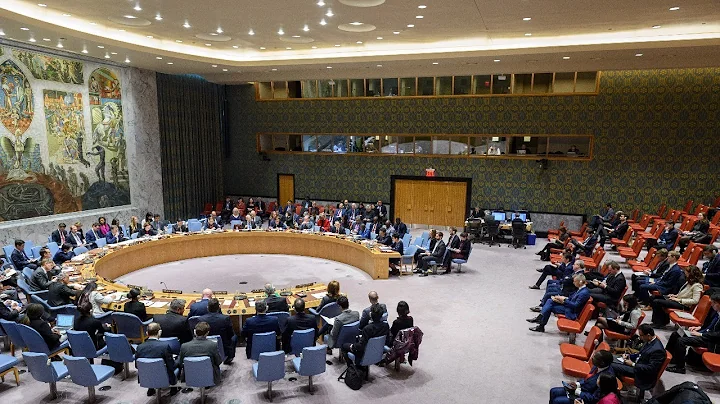 Security Council: COVID-19 vaccines in contexts affected by conflict and insecurity - DayDayNews