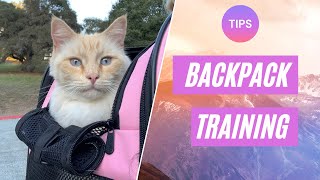 Get Your Cat Used To The Backpack FASTER With These 5 Tips Resimi