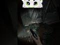 Surprise!!! | #starpyyy on #Twitch #furry