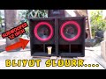 Bliyuutt tes speaker subwoofer 12 inch