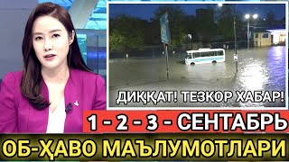 ДИҚҚАТ! ОГОҲ БЎЛИНГ. 1-2-3-СЕНТАБРЬ ОБ-ҲАВО МАЪЛУМОТЛАРИ. ТЕЗКОР ХАБАР #yangiliklar #xabarlar