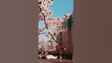 Here are a few options:  1. **Automate Now: Instant