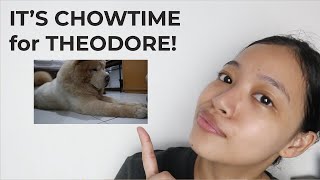 How I prepare my CHOW'S MEAL! | Tips on how to make your dog's food appetizing and healthy!(Vlog#48)