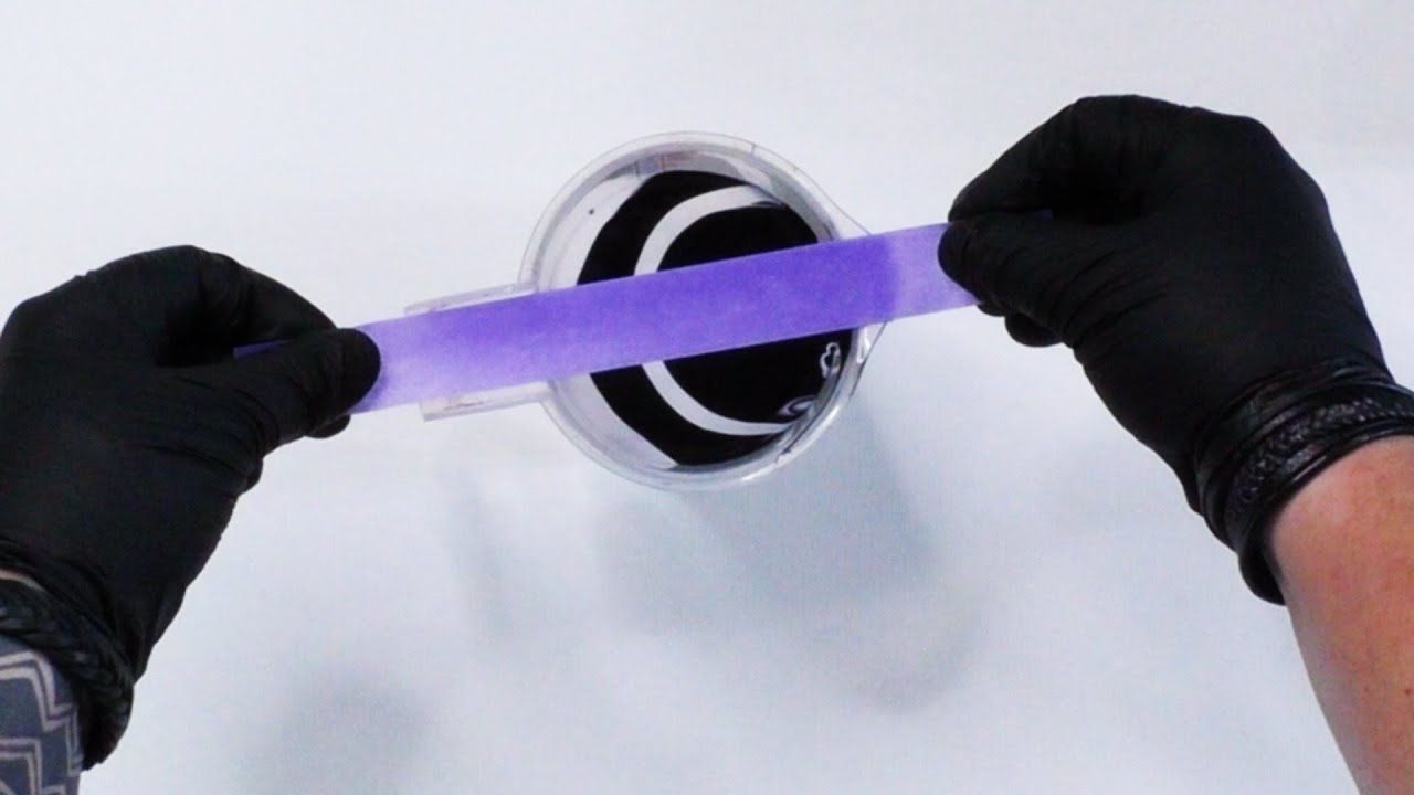 Acrylic Pouring Black & White | Split Cup Pour Painting Fluid Art !