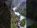 我上早八 MC药材_965