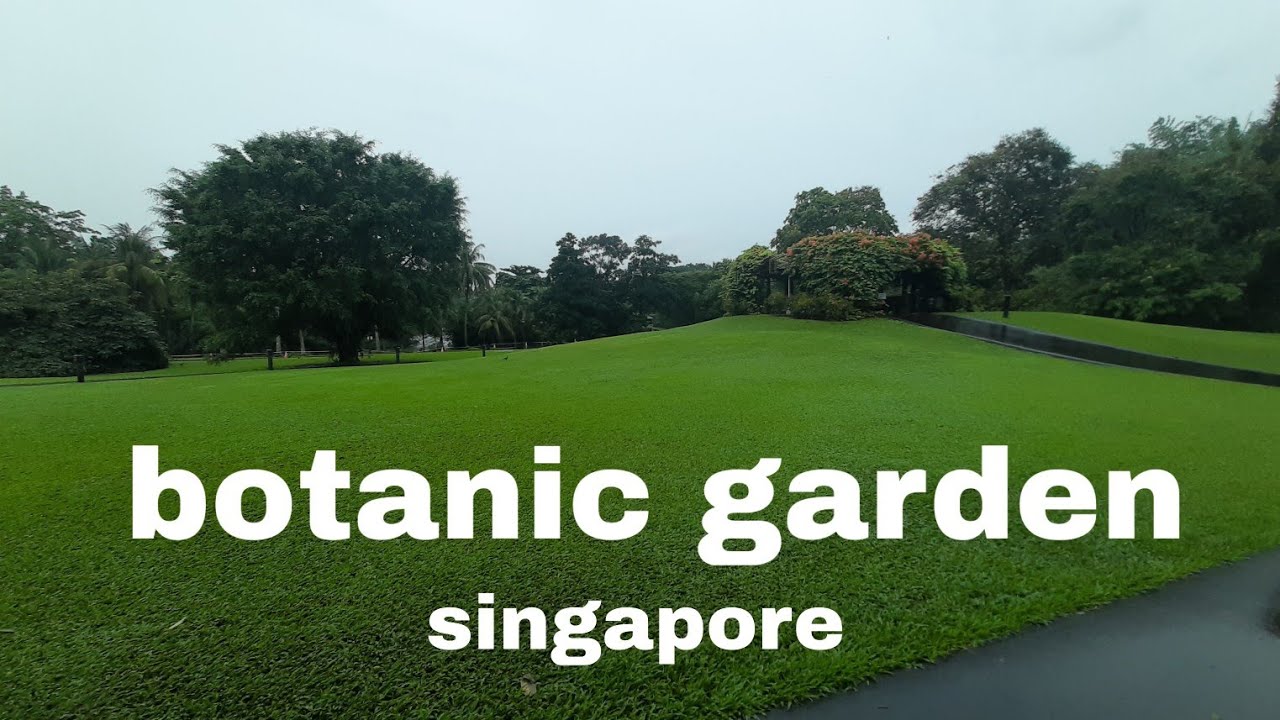 Botanical garden - YouTube