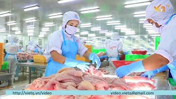 Nâng cao năng suất chất lượng tại doanh nghiệp trong bối cảnh CMCN 4.0