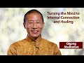 Qigong Meditation -Turning the mind to internal connection and healing