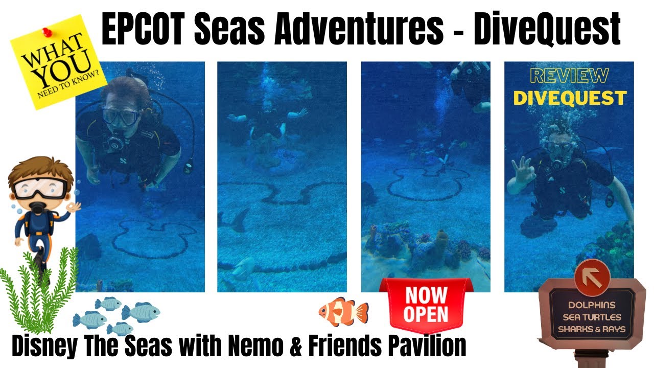 DiveQuest EPCOT Seas Adventures * SCUBA Dive Sharks *Disney the Seas