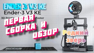 Ender 3 V3 KE лучший хоббийный 3Д принтер на  Klipper за 24к