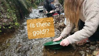 Panning for gold in our backyard!