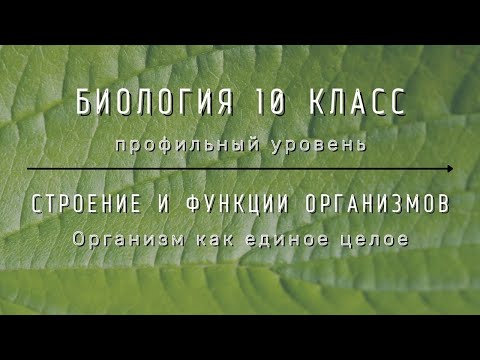 Биология 10 кл Проф уровень §29 Организм как единое целое