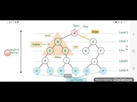 Tree - YouTube