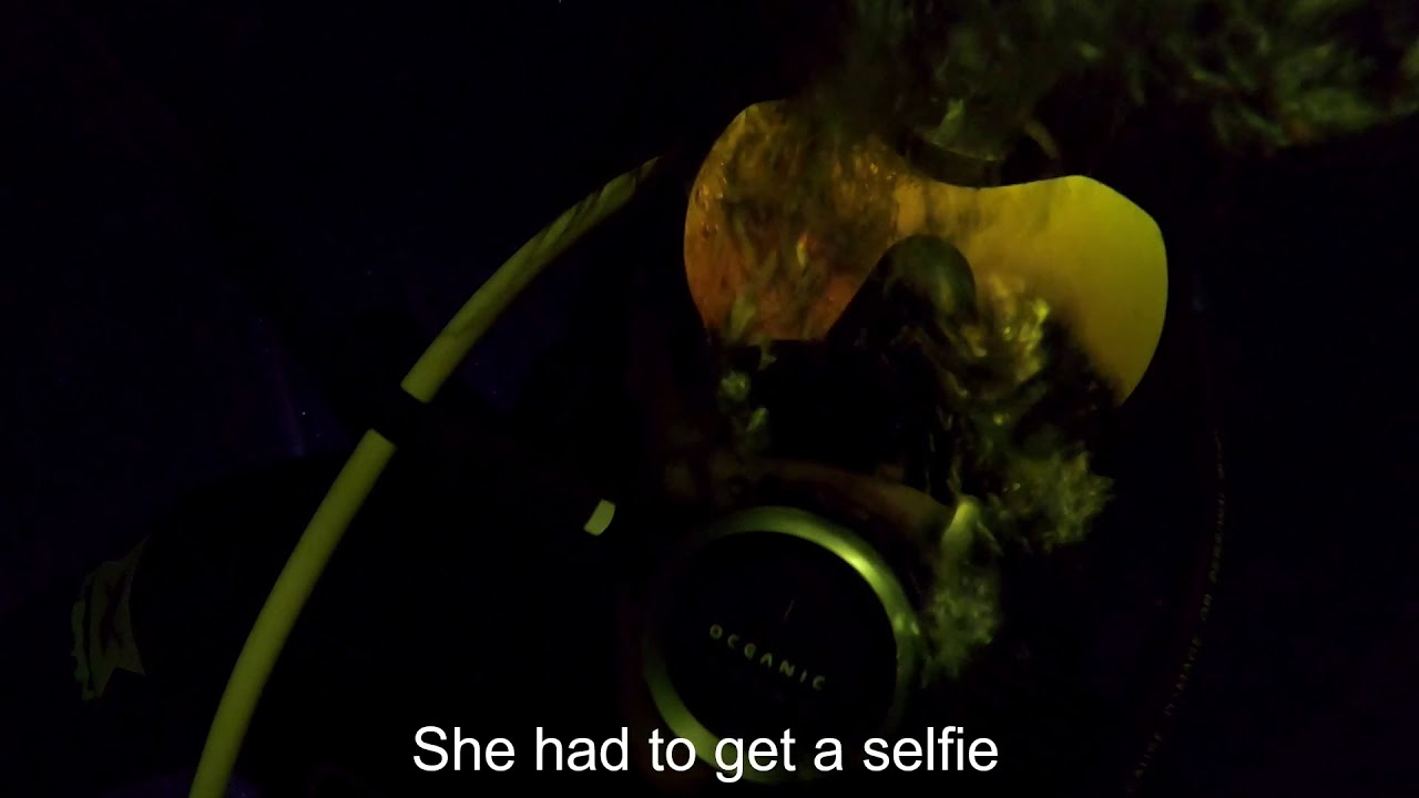 Orange Grove Sink, Peacock Springs