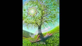 Spirit of Ari - Divine Timing